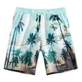 thumbnail image 1 of SHenli Boys Swimming Trunks Size 14-16 Drawstring 3d Funny Print Beach Board Shorts Qick Dry Kids Bathing Suits Toddler Boy Swimsuit Swimwear Little Boys Bathing Suit Swimsuit, 1 of 6