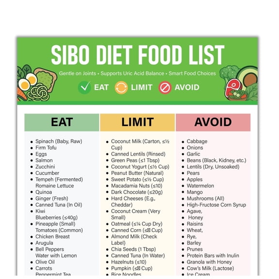 SIBO Food List Poster, Low FODMAP Chart Poster, Gut Friendly Grocery Store, Ibs Grocery Store List Poster, FODMAP Food Chart Poster, Dietary Restrictions Avoidance Food Poster