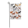 thumbnail image 1 of SIDONKU Appaloosa Horse Breeds Color Flat Pony American Breeding Garden Flag Decorative Flag House Banner 12x18 inch, 1 of 1