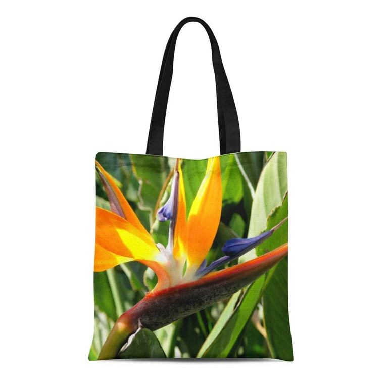 Canvas shopping bags discount walmart