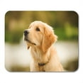 thumbnail image 1 of SIDONKU Dog Golden Retriever Puppy Head Shot Young Domestic Mousepad Mouse Pad Mouse Mat 9x10 inch, 1 of 1