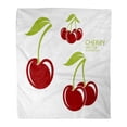thumbnail image 1 of SIDONKU Flannel Throw Blanket Red Berry Cherry Berries on Silhouette Flat Abstract Branch Soft for Bed Sofa and Couch 58x80 Inches, 1 of 1