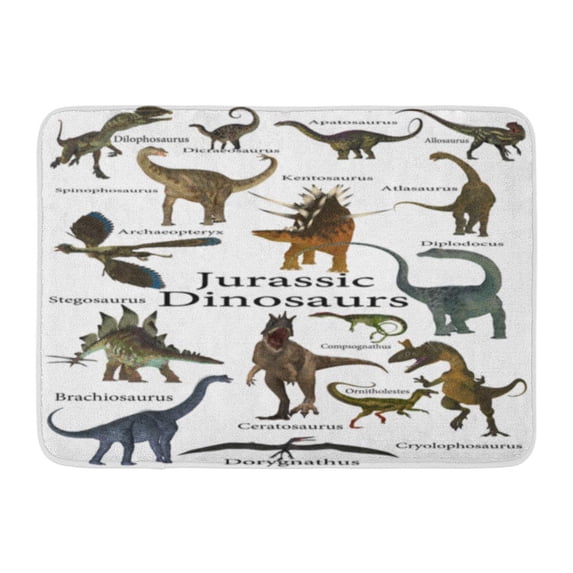 SIDONKU Jurassic Dinosaurs 3D This is Collection of Various Including Carnivores Herbivores and Flying Reptiles Doormat Floor Rug Bath Mat 23.6x15.7 inch