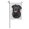 thumbnail image 1 of SIDONKU Lab Drawing Dog Breed Black Labrador Portrait Oil Painting Garden Flag Decorative Flag House Banner 12x18 inch, 1 of 2