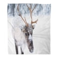 thumbnail image 1 of SIDONKU Throw Blanket 50x60 Inches Rudolph Cute Baby Reindeer Christmas Snow Small Warm Flannel Soft Blanket for Couch Sofa Bed, 1 of 1