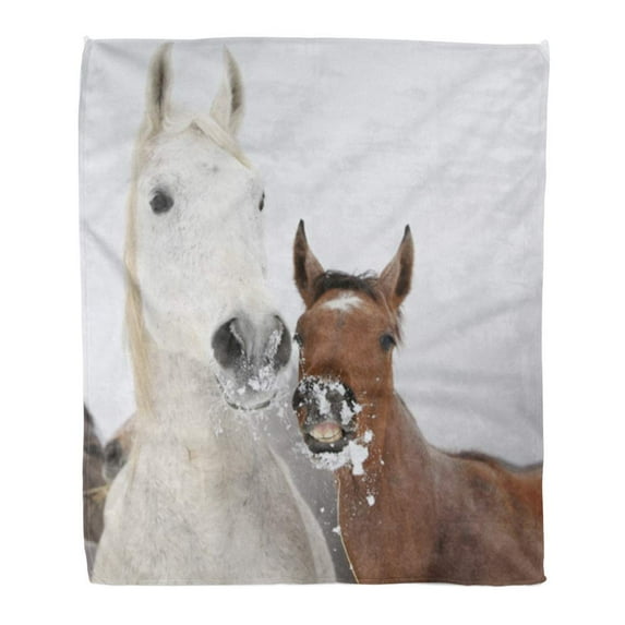 SIDONKU Throw Blanket 58x80 Inches Brown Horse Mare with Foal Looking at You in Winter Snow Equine Pony Batch Warm Flannel Soft Blanket for Couch Sofa Bed