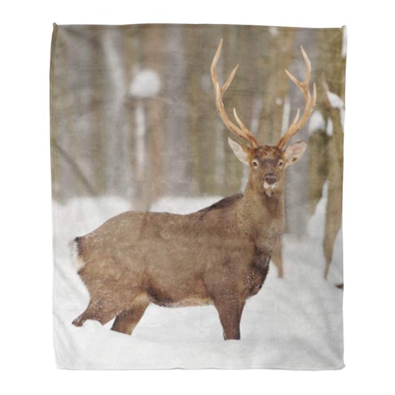 SIDONKU Throw Blanket Warm Cozy Print Flannel Brown Dear Young Deer in Winter Forest Green Head Face Comfortable Soft for Bed Sofa and Couch 50x60 Inches