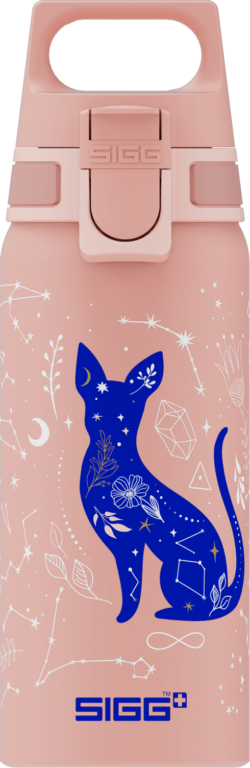 SIGG Aluminum Kids 20 oz BPA-Free Leak-Proof Lightweight Kids Water Bottle My Universe