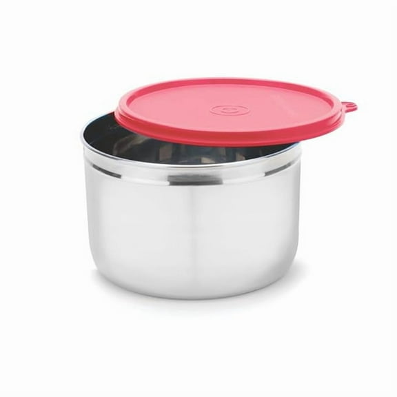 SIGNORA WARE Store well Stainless Steel Storage Container | Airtight & Leakproof | Easy fit to bags