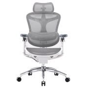 SIHOO Doro C300 PRO Ergonomic Chair Dual Seat Back Support Home Office Chair Computer Chair with 6D Armrests & Dynamic Lumbar Support-Seat Depth Adjustable Desk Chair for Big and Tall-White