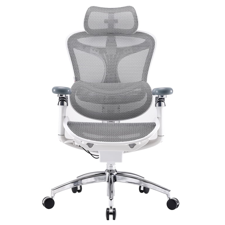 【組立済】SIHOO DORO C300 Pro オフィスチェア ホワイト Sihoo Doro C300 Pro Ergonomic Chair, Dynamic Lumbar Support, 6D