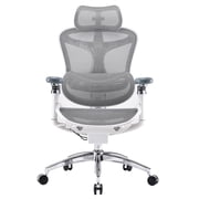 SIHOO Doro C300 PRO Ergonomic Chair Dual Seat Back Support Home Office Chair Computer Chair with 6D Armrests & Dynamic Lumbar Support-Seat Depth Adjustable Desk Chair for Big and Tall-White