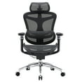 thumbnail image 1 of SIHOO Doro C300 Pro Ergonomic Chair Dual Seat Back Support Wide Deep Seat Computer Chair with Dynamic Lumbar Support-Black, 1 of 10