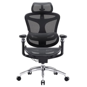 Sihoo Chair