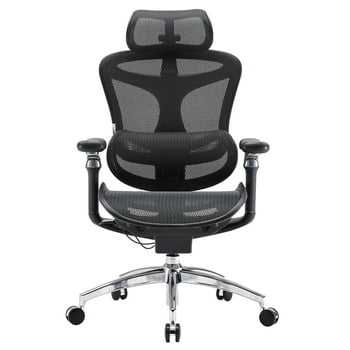 SIHOO Doro C300 Pro Ergonomic Chair Dual Seat Back Support Wide Deep Seat Computer Chair with Dynamic Lumbar Support-Black