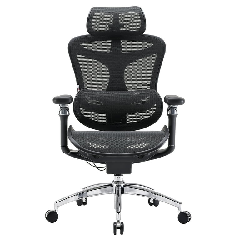 Sihoo Doro C300 Pro Ergonomic Office Chair, Adjustable Lumbar