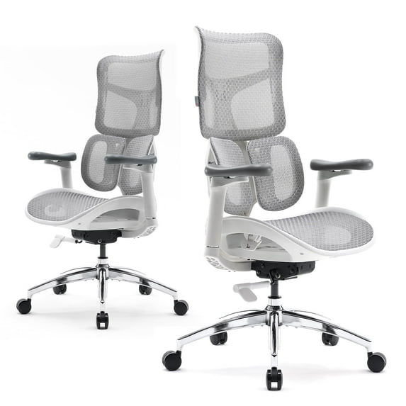 SIHOO Doro S100 Ergonomic Office Chair - with Dual Dynamic Lumbar Support, 5-Level Adjustable Backrest, 4D Coordinated Armrests, 135-degree Max. Recline Angle White