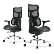 SIHOO Doro S100 Ergonomic Office Chair Computer Chair Desk Chair with 3 Back Support Model & Dual Dynamic Lumbar Support 5-Level Adjustable Backrest & 135-Degree Recline Angle-Black