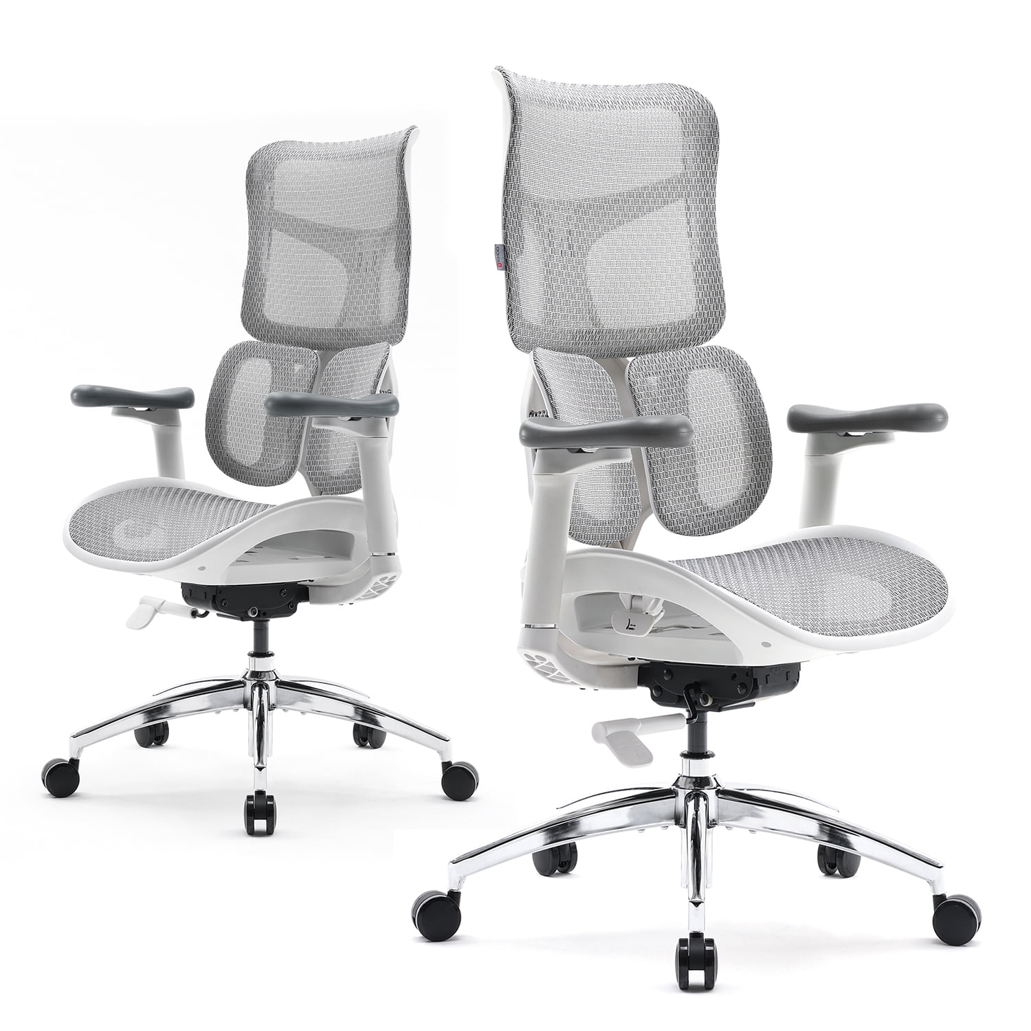 Sihoo Doro S100 Ergonomic Office Chair with Double Dynamic Lumbar