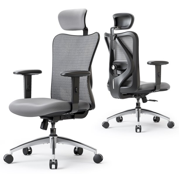 SIHOO Ergonomic Office Chair, High Back, Adjustable Height Arms