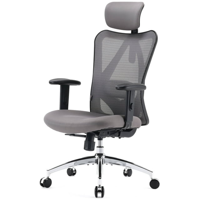 SIHOO Ergonomic High Back Office Chair, Adjustable Computer Desk Chair with Lumbar Support, 300lb, Gray