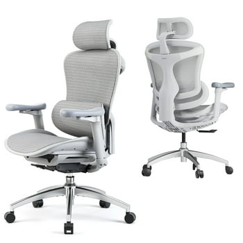 Sihoo Doro-C300 Ergonomic Chair, 3D Armrests  Swivel Chair, Adaptive Lumbar Support Office Chair, Ergonomic Desk Chairs for Adults, Comfort Home Office Chair, Gray