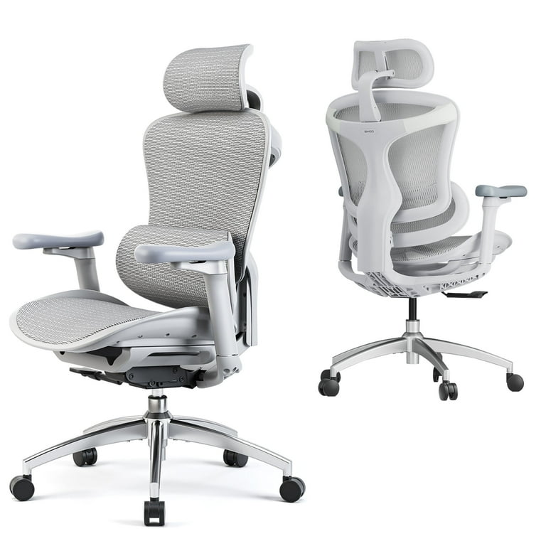 SIHOO Ergonomic Office Chair-Doro-C300, Lumbar Support, 3D Armrest 