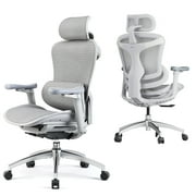 Sihoo Doro-C300 Ergonomic Chair, 3D Armrests Swivel Chair, Adaptive Lumbar Support Office Chair, Ergonomic Desk Chairs for Adults, Comfort Home Office Chair, Gray