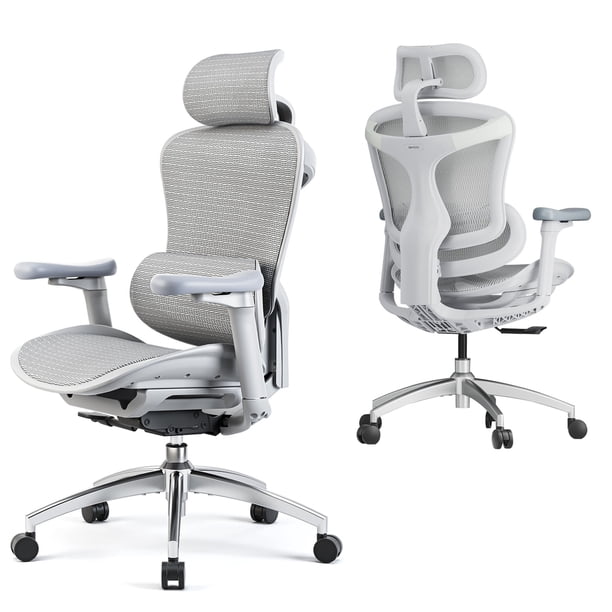 SIHOO Ergonomic Office Chair-Doro-C300, Lumbar Support, 3D SIHOO Ergonomic Office Chair-Doro-C300, Lumbar Support, 3D