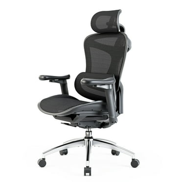 Sihoo Doro-C300 Adult Mesh Office Chair, Adjustable Armrest, Black (Set of 1)