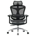 thumbnail image 1 of Sihoo Ergonomic Office Chair Doro C300 with Headrest, Lumbar Support, 3D Armrests, Adjustable Backrest - Black, 1 of 11