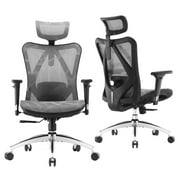 SIHOO High Back Ergonomic Office Mesh Desk Chair with Armrest & Lumbar Support, 300lb, Gray