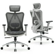 SIHOO High Back Ergonomic Office Mesh Desk Chair with Armrest & Lumbar Support, 300lb,Light Grey