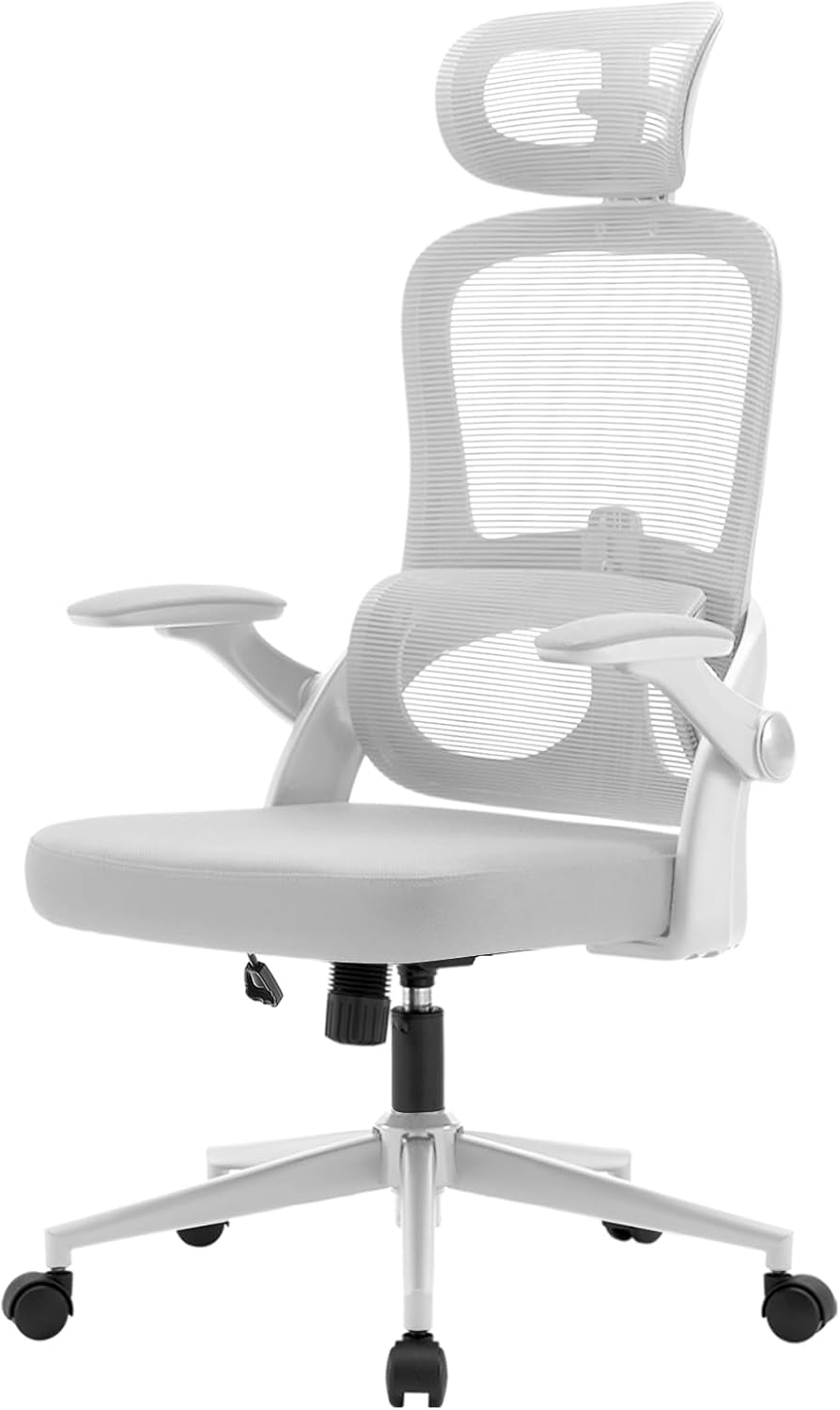 SIHOO M102C Ergonomic Office Chair, High Back Desk Chair with 3D