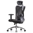 thumbnail image 1 of SIHOO M18 Mesh Ergonomic Office Chair with Adjustable Lumbar Support, High Back, Black, 1 of 14