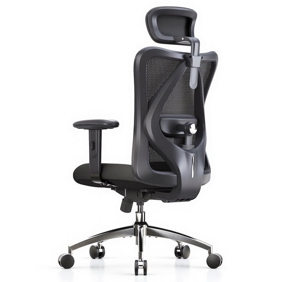 SIHOO M18 Mesh Ergonomic Office Chair with Adjustable Lumbar Support, High Back, Black