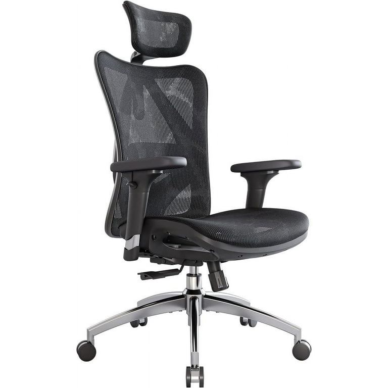 Ergonomic Office Chair, Headrest, Adjustable Lumbar Support, High Back  Armrests