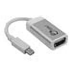 SIIG DisplayPort adapter -