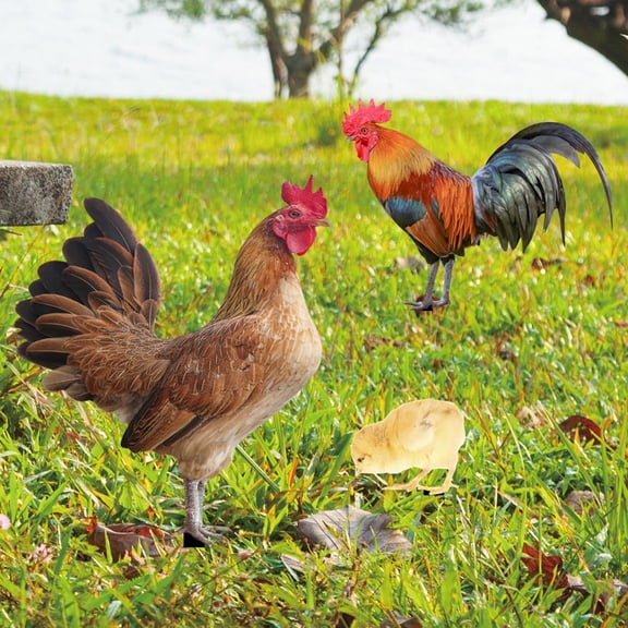 SILENRADAWN Assorted Color Acrylic Rooster and Hen Garden Stakes Set for Lawn and Outdoor Decoration, Various Sizes Included