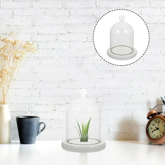 SILENRADAWN 1Pc Glass Cloche Display Dome With Wooden Base For Families To Maintain And Display Flowers