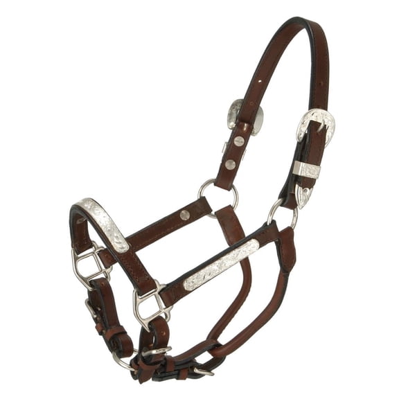 Tough 1 Halter Royal King Hand Engraved Trim Pony Dark Oil 18-4