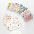 thumbnail image 1 of SILVERCELL 4-10T Girls Cotton Underwear Briefs Undies Training Panties for Little Girls Pack of 6, 1 of 6
