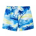 thumbnail image 1 of SILVERCELL Toddler Boys Girls Shorts Kids Printing Beach Sport Running Casual Quick Dry Swim Trunk 2-7Y, 1 of 4