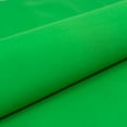 thumbnail image 1 of SINGER Christmas Collection 44" x 2 yd 100% Cotton Sewing & Craft Fabric, Green, 1 of 2