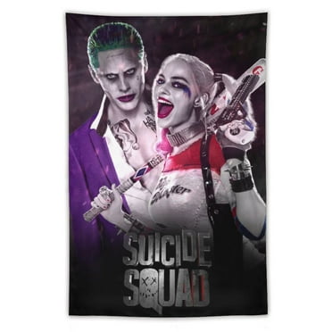 Harley Quinn Tapestry, Wall Art Hanging Decor Tapestry 60x40 Inch, Living Room Room Decoration Tapestry Dormitory.