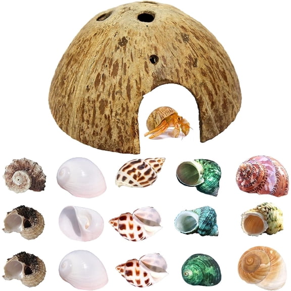 Sinkoo Hermit Crab Shell Growth Seashells, 15pcs Natural Seashells with Coconut Shells Hut, Reptile Hideouts Hermit Crab Supply Habitat Aquarium Decor