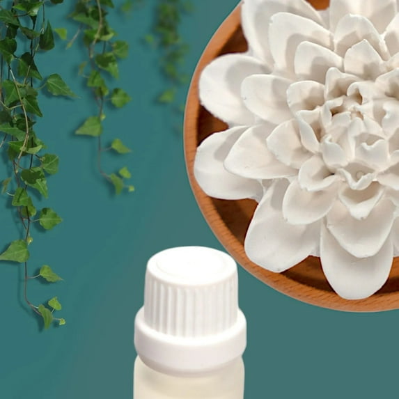 SINT Aroma Diffuser Diatomite Peony Flower | Essential Oil Diffuser with Aromatherapy Fragrant Oil | Diffusers for Home, Oil Diffuser, Room Décor | White, Fig Fragrance 10 ML