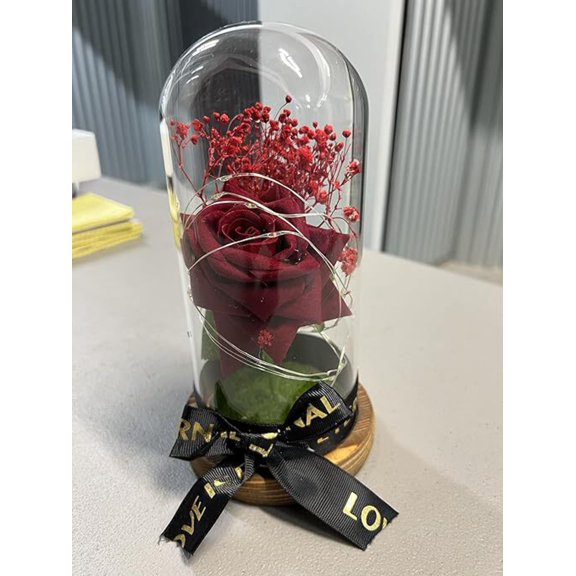 SINT Preserved Rose Gifts for Women, Forever Real Rose in Glass Dome, Rose Flower Gifts for Mom Best Friend Girlfriend Wife, Valentine’s Day Mother’s Day Anniversary Birthday, Single Flower, Deep Red