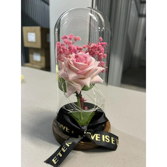 SINT Preserved Rose Gifts for Women, Forever Real Rose in Glass Dome, Rose Flower Gifts for Mom Best Friend Girlfriend Wife, Valentine’s Day Mother’s Day, Single Flower, Pink