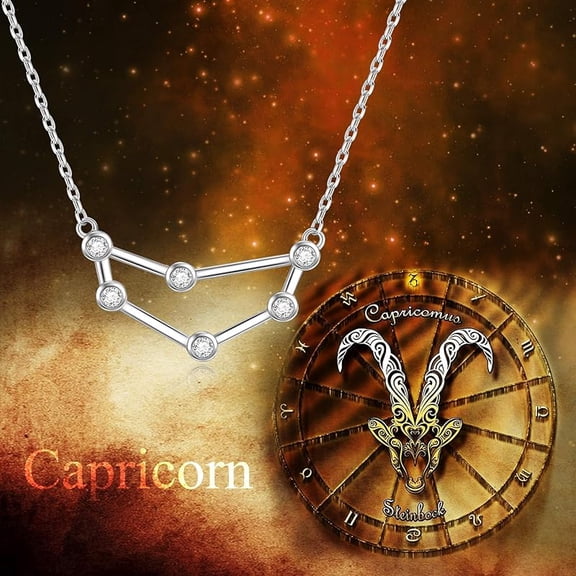 SISGEM Sterling Silver Zodiac Necklace Embellished with Crystals from Austria, 12 Constellation Horoscope Astrology Necklace, Anniversary Birthday Jewelry Gifts for Women